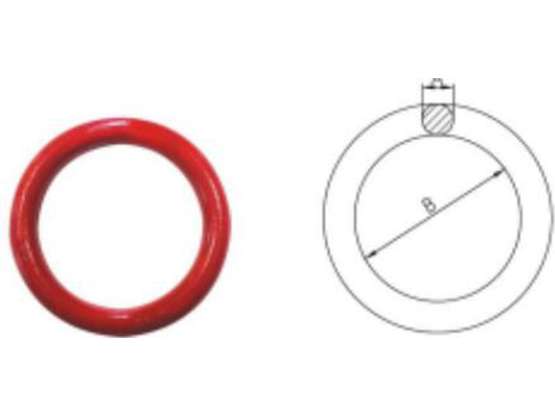 无焊缝圆环(BNO) WELDLESS RINGS (BNO)
